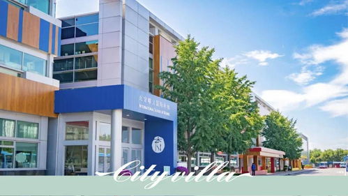 朝阳一墅 真实报道 朝阳一墅 火遍整个楼市 附图文解析