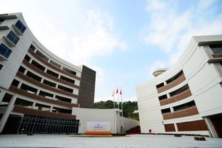 招收中国籍学生 一所独一无二的国际教育学校