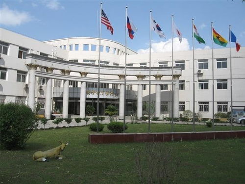 沈阳师范大学国际教育学院