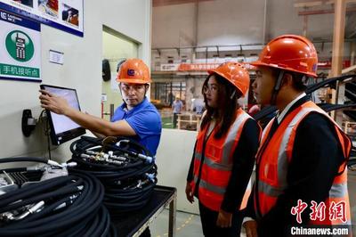 东盟留学生广西"取经" 校企携手培养"订单班"国际工匠