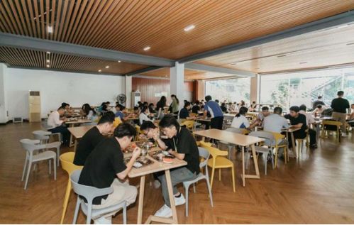 深圳知上艺术画室 独具匠心精品教学,实力缔造满园硕果