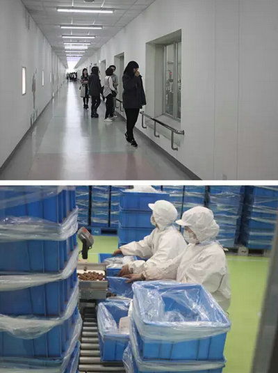 上海燎原国际高中学生社会实践 明治巧克力工厂参观