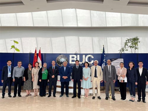 同济大学国际中文教育信息化研究基地在埃及成立，推动国际中文教育创新发展