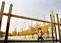 洛阳师范学院国际教育学院